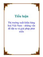 Tiểu luận: Thị trường xuất khẩu hàng hoá Việt Nam – những vấn đề đặt ra và giải pháp phát triển ppsx