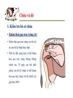 Quản lý sinh sản ở bò sữa part 6 ppsx