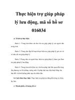 Thực hiện trợ giúp pháp lý lưu động, mã số hồ sơ 016034 doc