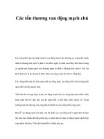 Các tổn thương van động mạch chủ pdf