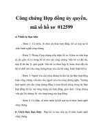 Công chứng Hợp đồng ủy quyền, mã số hồ sơ 012599 potx