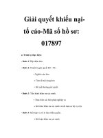 Giải quyết khiếu nạitố cáo-Mã số hồ sơ: 017897 pptx