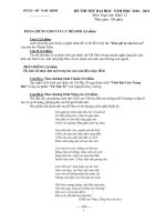 Đề thi thử đại học môn văn năm 2010 - 2011 Sở GDĐT Nam Định doc