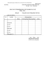 MẪU BÁO CÁO VỀ TÌNH HÌNH ĐÓNG MỞ TÀI KHOẢN LƯU KÝ ppsx