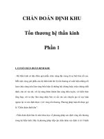 CHẨN ĐOÁN ĐỊNH KHU Tổn thương hệ thần kinh - Phần 1 ppsx