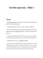 Tai biến mạch não – Phần 1 potx