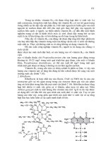 Giáo trình Vi sinh vật học công nghiệp part 7 doc