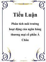 Tiểu luận: Phân tích môi trường hoạt động của ngân hàng thương mại cổ phần Á Châu docx