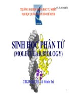 BÀI GIẢNG: SINH HỌC PHÂN TỬ pdf