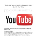 Khắc phục Mac OS Safari - YouTube Màn hình đen khi chơi Video potx