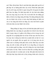 Ứng dụng nghiên cứu quan hệ kinh tế vào thị trường tại Việt nam phần 4 potx