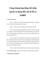 Công chứng hợp đồng thế chấp quyền sử dụng đất, mã số hồ sơ 018807 pps