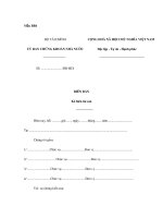 Mẫu biên bản kê biên tài sản pps