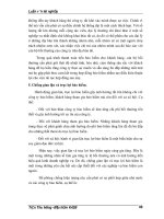 Luận văn tốt nghiệp: Tìm hiểu về công tác quản lý bảo hiểm phi nhân thọ và sự cần thiết của bảo hiểm phần 9 potx