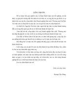 Xây dựng chiến lược kinh doanh cho doanh nghiệp sản xuất   thương mại gia đại đến năm 2015