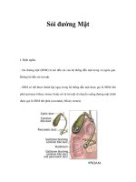 Sỏi đường Mật potx