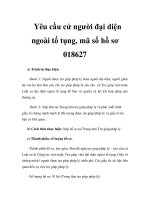 Yêu cầu cử người đại diện ngoài tố tụng, mã số hồ sơ 018627 ppt