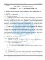 Tiểu luận: Cổ phiếu ưu tiên của Công ty con, Doanh lợi hợp nhất, Thuế lợi tức hợp nhất