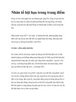 Nhân tố hội họa trong trang điểm pot