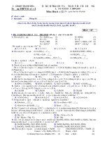 ĐỀ KIỂM TRA CHẤT LƯỢNG DẠY HỌC: MÔN HÓA- Trường THPT Hậu lộc I pdf