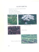 Kỹ thuật trồng, sử dụng và chế biến cây thuốc part 10 pps