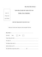 MẪU ĐƠN XIN NHẬP QUỐC TỊCH VIỆT NAM pdf