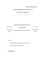 MẪU ĐƠN XIN NHẬN TRẺ EM VIỆT NAM ppsx