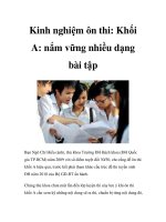 Kinh nghiệm ôn thi: Khối A: nắm vững nhiều dạng bài tập pptx