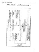 Bệnh đái tháo đường những quan điểm hiện đại part 3 ppsx