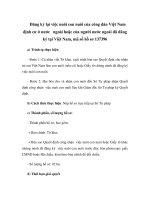 Đăng ký lại việc nuôi con nuôi của công dân Việt Nam định cư ở nước ngoài hoặc của người nước ngoài đã đăng ký tại Việt Nam, mã số hồ sơ 137396 ppt