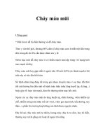 Chảy máu mũi docx