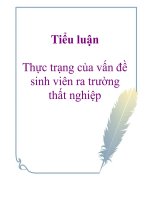 Tiểu luận: Thực trạng của vấn đề sinh viên ra trường thất nghiệp pdf