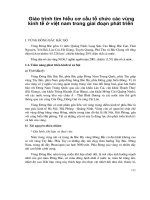 Giáo trình tìm hiểu cơ cấu tổ chức các vùng kinh tế ở việt nam trong giai đoạn phát triển p1 pptx