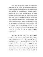 Quá trình hình thành những điều kiện để huy động vốn và các giải pháp tìm nguồn vốn trong quy trình phát triển của các doanh nghiệp nhà nước p5 docx