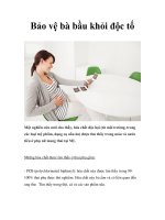 Bảo vệ bà bầu khỏi độc tố potx