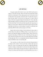 Quá trình hình thành khả năng quyết định và định hướng phát triển kinh tế cá thể của nhà nước p1 docx