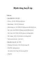 Bệnh tăng huyết áp docx