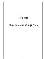tiểu luận phân tích kinh tế việt nam