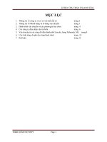 quản trị vận tải đa phương thức - công ty vận tải đa phương thức vietranstimex 9.3