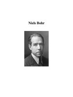 Niels Bohr pptx