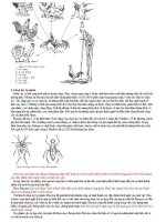 Ôn tập : Sinh học 12 phần 4 pot