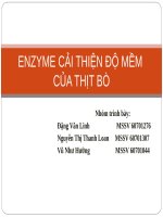 enzyme làm mềm thịt bò pptx
