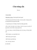 Côn trùng cắn(Insects) pdf