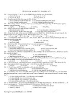 Đề thi thử Đại học năm 2011: Môn Hóa - số 3 pptx