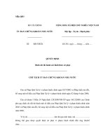 Mẫu quyết định đình chỉ thi hành các hình thức xử phạt ppsx