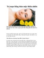 Trị mụn bằng thảo mộc thiên nhiên pdf