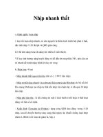 Nhịp nhanh thất pot