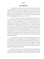 phân tích báo cáo tài chính tại công ty cổ phần may trường giang