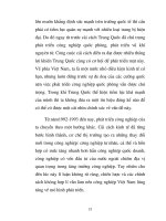 Luận văn tốt nghiệp: Những điểm tương đồng giữa Trung Quốc và Việt Nam và tại sao Trung quốc phát triển nhanh hơn Việt Nam ? phần 5 docx