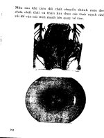 Bệnh tiêu hóa gan - mật - trĩ part 8 docx